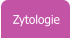 Zytologie